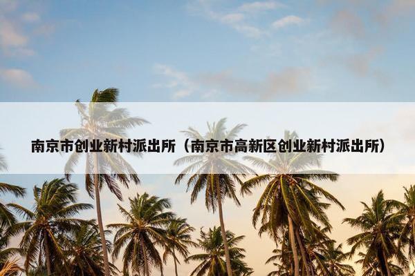南京市创业新村派出所（南京市高新区创业新村派出所）