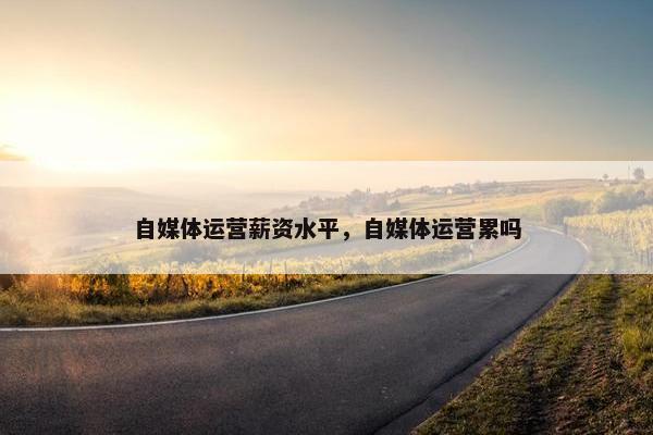自媒体运营薪资水平，自媒体运营累吗