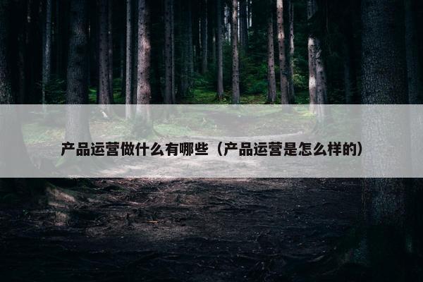 产品运营做什么有哪些（产品运营是怎么样的）
