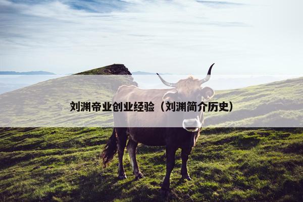 刘渊帝业创业经验（刘渊简介历史）