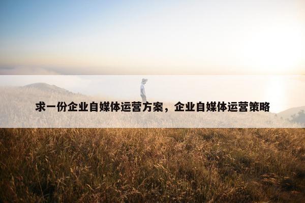 求一份企业自媒体运营方案，企业自媒体运营策略