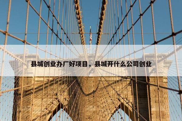 县城创业办厂好项目，县城开什么公司创业