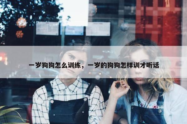 一岁狗狗怎么训练，一岁的狗狗怎样训才听话