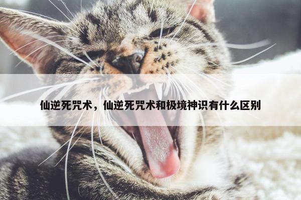 仙逆死咒术，仙逆死咒术和极境神识有什么区别
