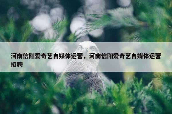 河南信阳爱奇艺自媒体运营，河南信阳爱奇艺自媒体运营招聘