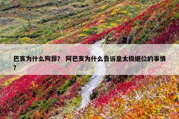 巴亥为什么殉葬？ 阿巴亥为什么告诉皇太极继位的事情？