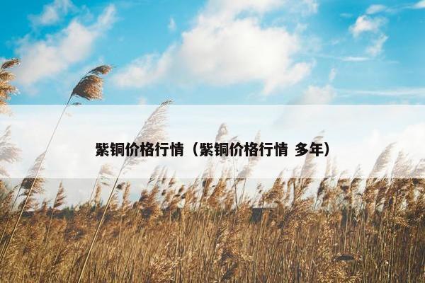 紫铜价格行情（紫铜价格行情 多年）
