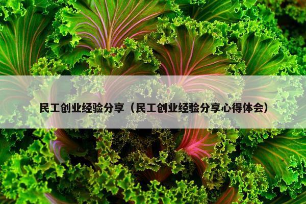 民工创业经验分享（民工创业经验分享心得体会）
