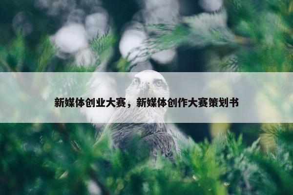 新媒体创业大赛，新媒体创作大赛策划书