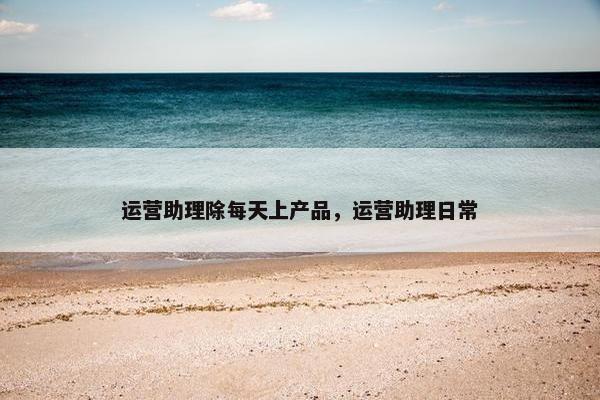 运营助理除每天上产品，运营助理日常