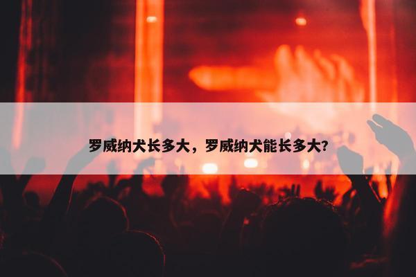 罗威纳犬长多大，罗威纳犬能长多大?