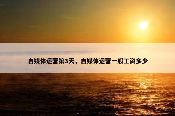 自媒体运营第3天，自媒体运营一般工资多少