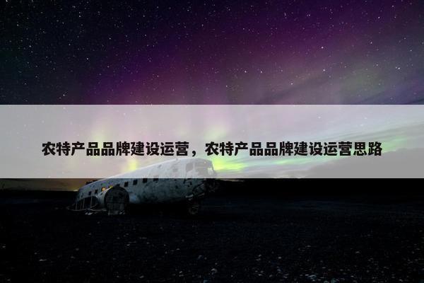 农特产品品牌建设运营，农特产品品牌建设运营思路