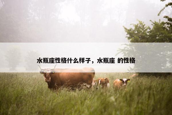 水瓶座性格什么样子，水瓶座 的性格