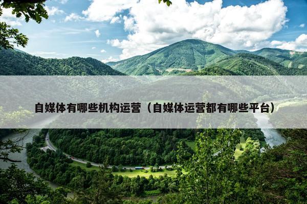 自媒体有哪些机构运营（自媒体运营都有哪些平台）