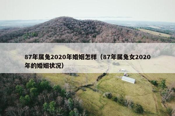 87年属兔2020年婚姻怎样（87年属兔女2020年的婚姻状况）
