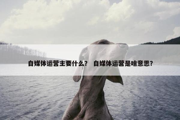 自媒体运营主要什么？ 自媒体运营是啥意思？