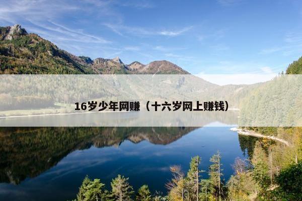 16岁少年网赚（十六岁网上赚钱）