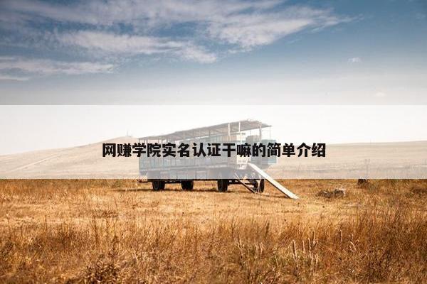 网赚学院实名认证干嘛的简单介绍