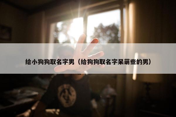 给小狗狗取名字男（给狗狗取名字呆萌些的男）