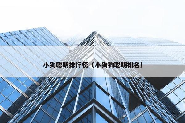 小狗聪明排行榜（小狗狗聪明排名）