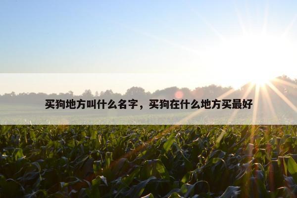 买狗地方叫什么名字，买狗在什么地方买最好