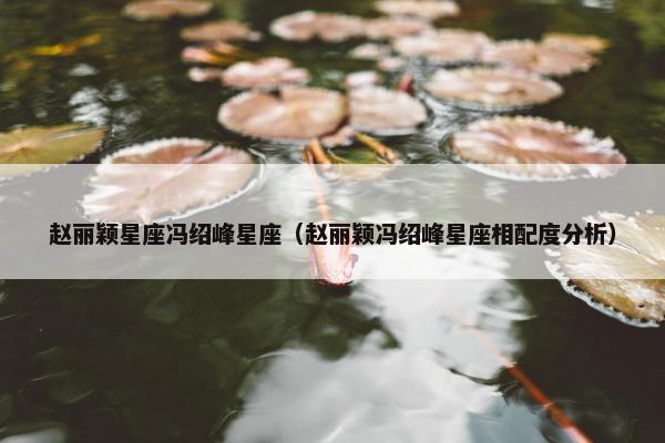 赵丽颖星座冯绍峰星座（赵丽颖冯绍峰星座相配度分析）