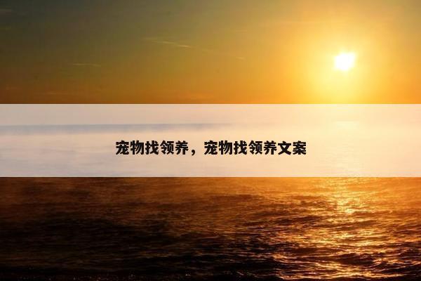 宠物找领养，宠物找领养文案