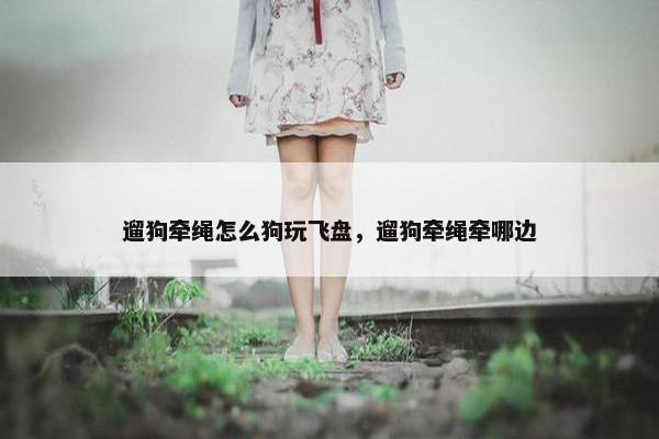 遛狗牵绳怎么狗玩飞盘，遛狗牵绳牵哪边