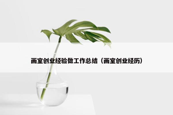 画室创业经验做工作总结（画室创业经历）
