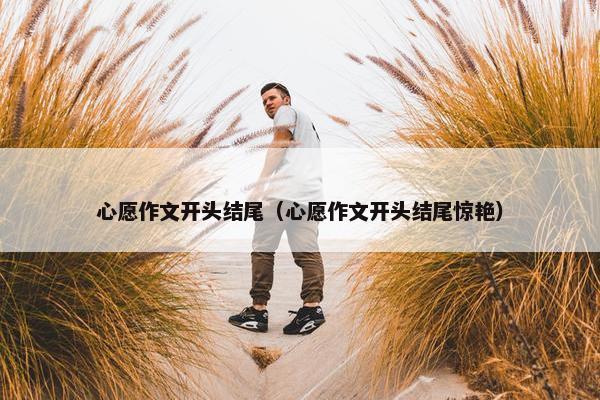 心愿作文开头结尾（心愿作文开头结尾惊艳）