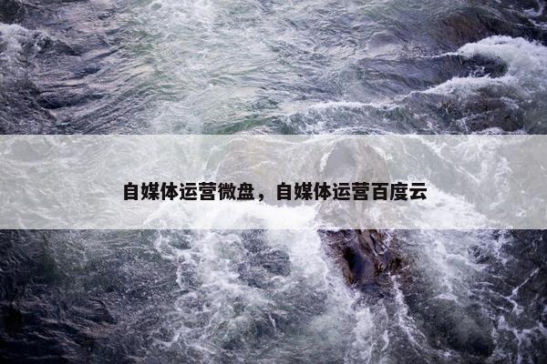 自媒体运营微盘，自媒体运营百度云