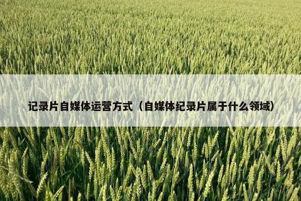 记录片自媒体运营方式（自媒体纪录片属于什么领域）