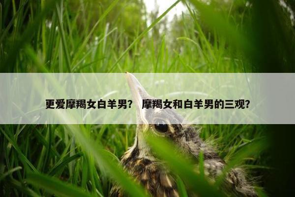 更爱摩羯女白羊男？ 摩羯女和白羊男的三观？