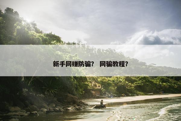 新手网赚防骗？ 网骗教程？