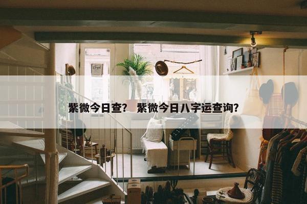 紫微今日查？ 紫微今日八字运查询？