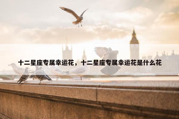 十二星座专属幸运花，十二星座专属幸运花是什么花