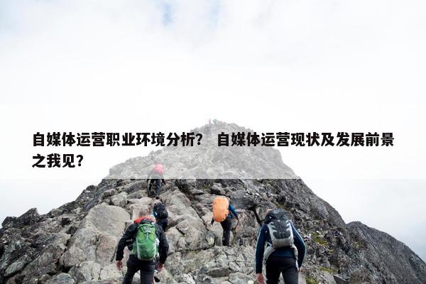 自媒体运营职业环境分析？ 自媒体运营现状及发展前景之我见？