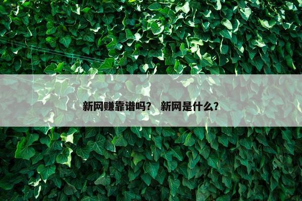 新网赚靠谱吗？ 新网是什么？