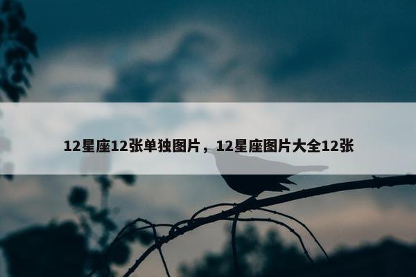 12星座12张单独图片，12星座图片大全12张