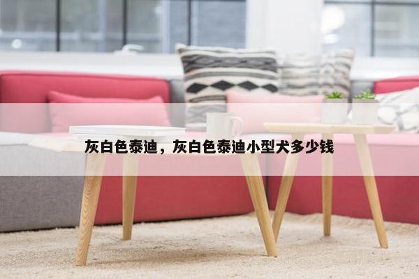 灰白色泰迪，灰白色泰迪小型犬多少钱