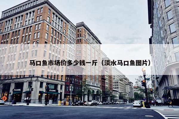 马口鱼市场价多少钱一斤（淡水马口鱼图片）