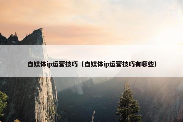 自媒体ip运营技巧（自媒体ip运营技巧有哪些）