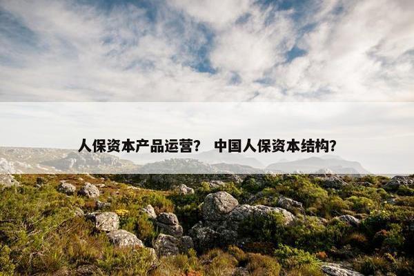 人保资本产品运营？ 中国人保资本结构？