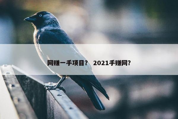 网赚一手项目？ 2021手赚网？