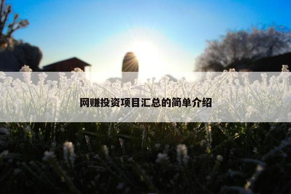 网赚投资项目汇总的简单介绍