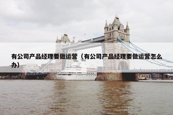 有公司产品经理要做运营（有公司产品经理要做运营怎么办）