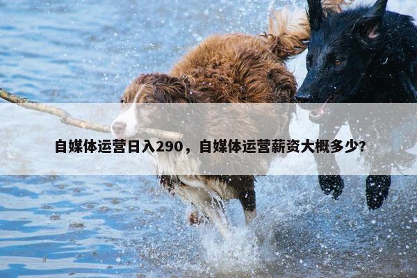 自媒体运营日入290，自媒体运营薪资大概多少?
