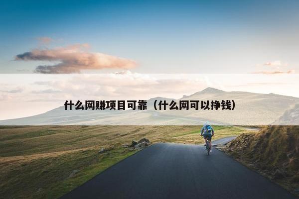 什么网赚项目可靠（什么网可以挣钱）