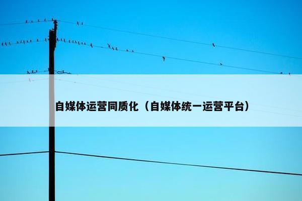 自媒体运营同质化（自媒体统一运营平台）